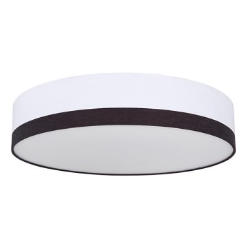 Globo - LED Prigušiva stropna svjetiljka LED/40W/230V 3000/4000/6000K